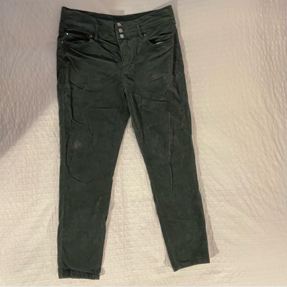 Ann Taylor Green Pants
